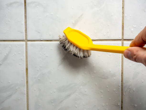 Best Local Mold Removal Service  in Fort Defiance, AZ