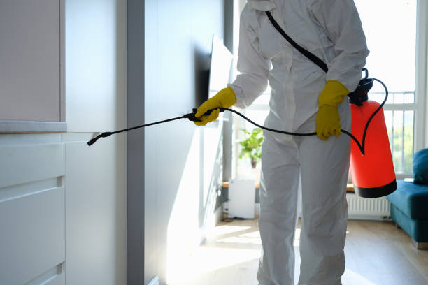 Best Mold Remediation  in Fort Defiance, AZ