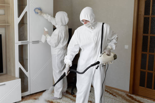 Best Certified Mold Removal  in Fort Defiance, AZ